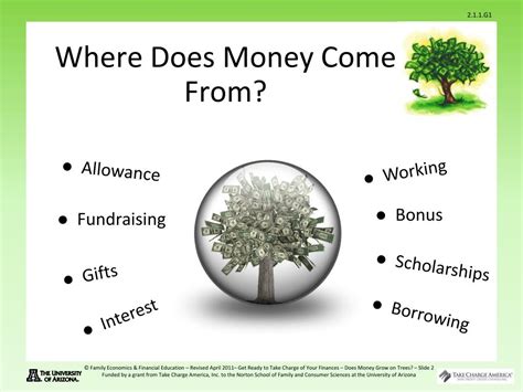 does money come from trees.